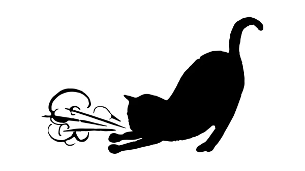 Asthmatic Kitty Records