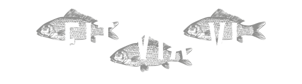 Fit Via Vi