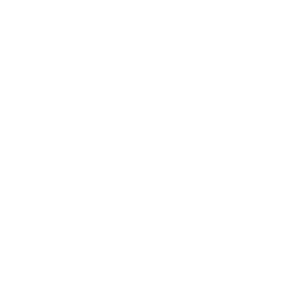 Les Valseurs