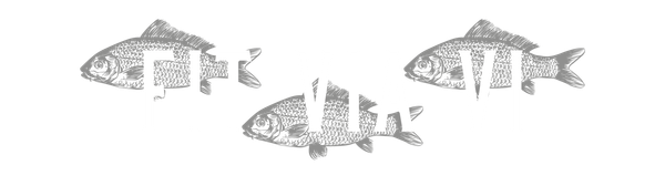 Fit Via Vi
