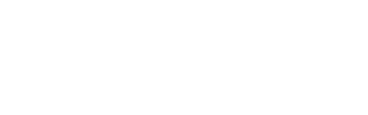 Electric South
