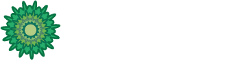 Cactus Film & Video