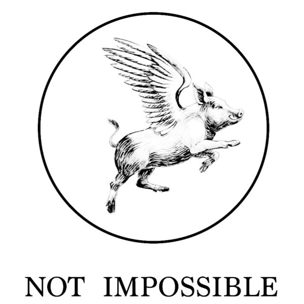 Not Impossible Productions