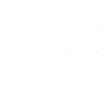 ANIMATION 1908