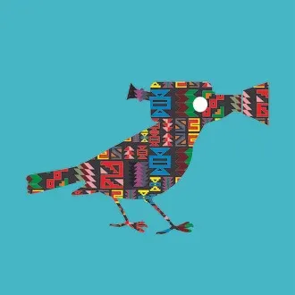 Cine Jardim - Festival Latino-Americano de Cinema de Belo Jardim logo