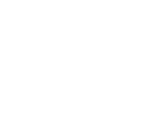Festival national du film d'animation logo