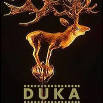 Duka Filmfestival logo