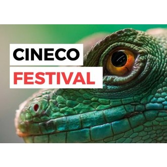 CINECO FESTIVAL