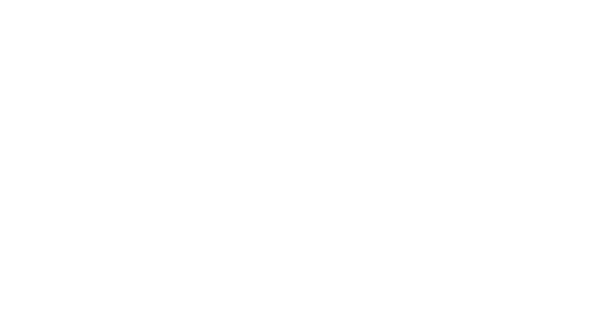 Dances with Films logo