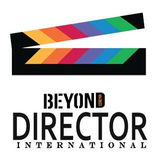 Director International Film Carnival (DIFC)