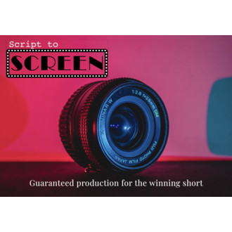 DIFF's Script to Screen