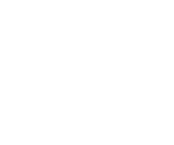 Early Bird International Student Film Festival logo