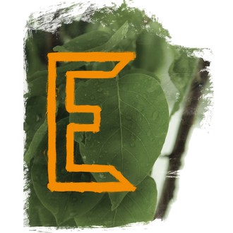 Element Film Festival