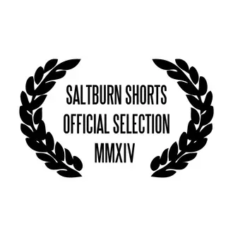 Annual Saltburn Film Festival logo