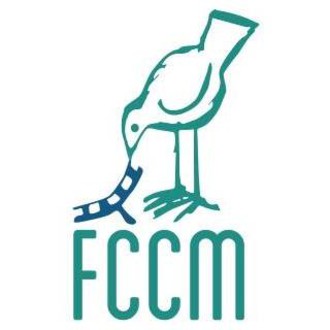 Festival de Cine del Cajon del Maipo