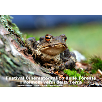 Festival cinematografico sulle foreste-I polmoni verdi della terra
