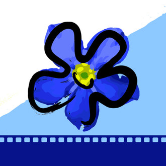 Festival Internacional de Cortometrajes Flor Azul