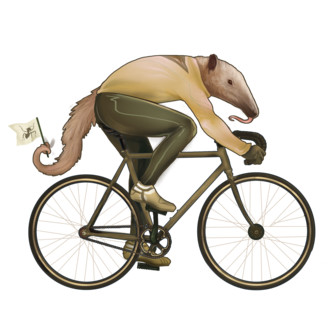 Gigantic Bicycle Film Festival