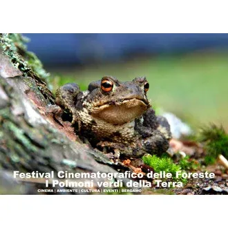 Festival cinematografico sulle foreste-I polmoni verdi della terra logo
