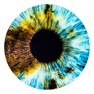 HUMAN VISION film festival