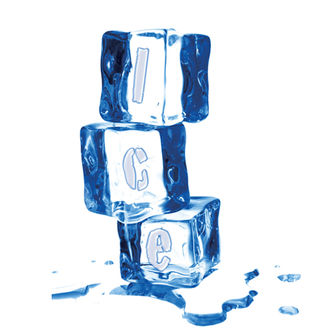 ICE Film Fest