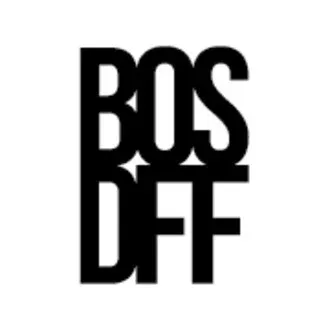 Boston Drone Film Festival logo