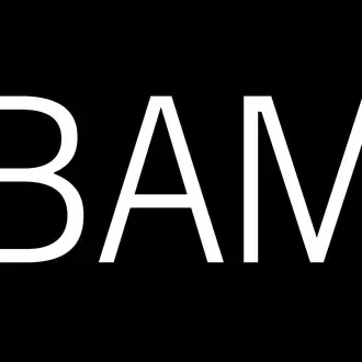BAMkids Film Festival  - Young Filmmakers Showcase logo
