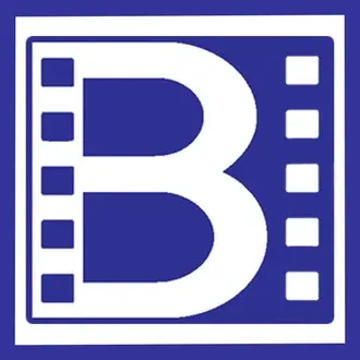 BoVi Film Festival logo