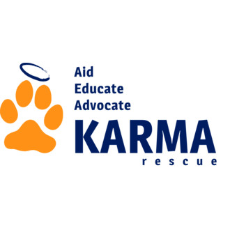 Karma Rescue's Animal Film Festival