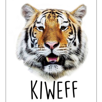 Kolkata International Wildlife & Environment Film Festival - India