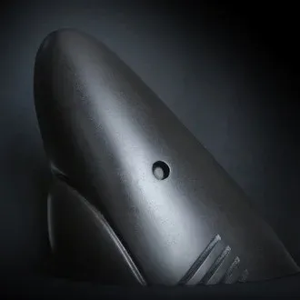 Kinsale Shark Music Video Awards logo