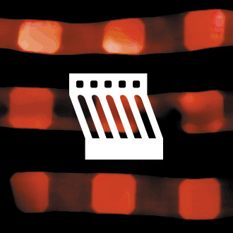 MalatestaShort Film Festival