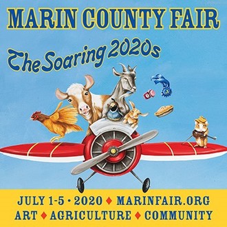 Marin County International Festival of Short Film & Video