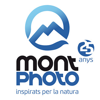 MONTPHOTO MULTIMEDIA STORYTELLING