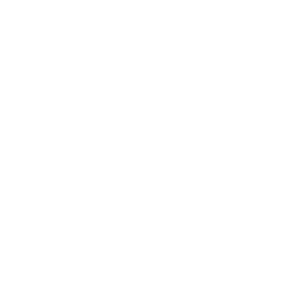 Pesaro Film Festival logo
