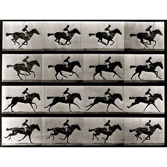 Muybridge Short Film Festival