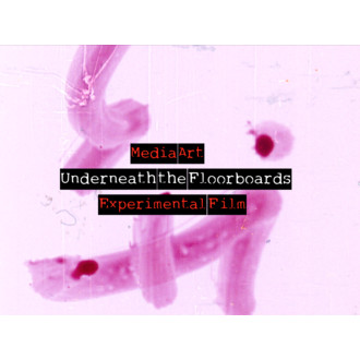 Underneath the Floorboards