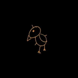 Bird Skin Co. Student Film Festival logo