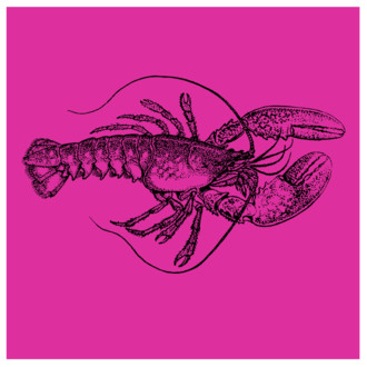 Pink Lobster ( LGBTQIA+)