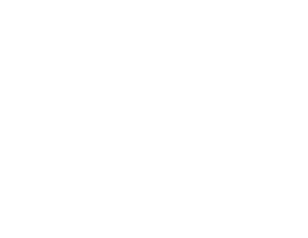 Prime the Animation! New Talent International Festival logo