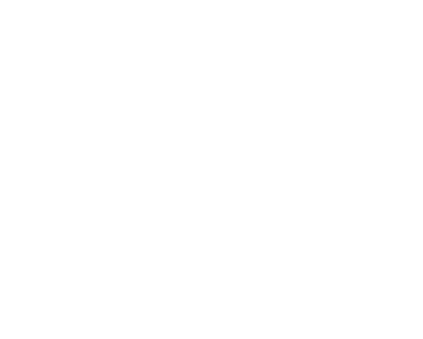 San Francisco International Film Festival logo
