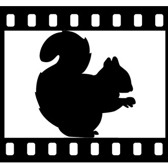 Sciuridae Film Festival