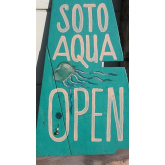 SOTO AQUA FILM FESTIVAL