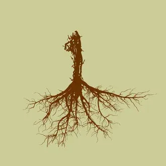 Biophilia International Film Festival logo