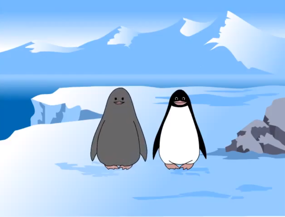 From the life of penguins