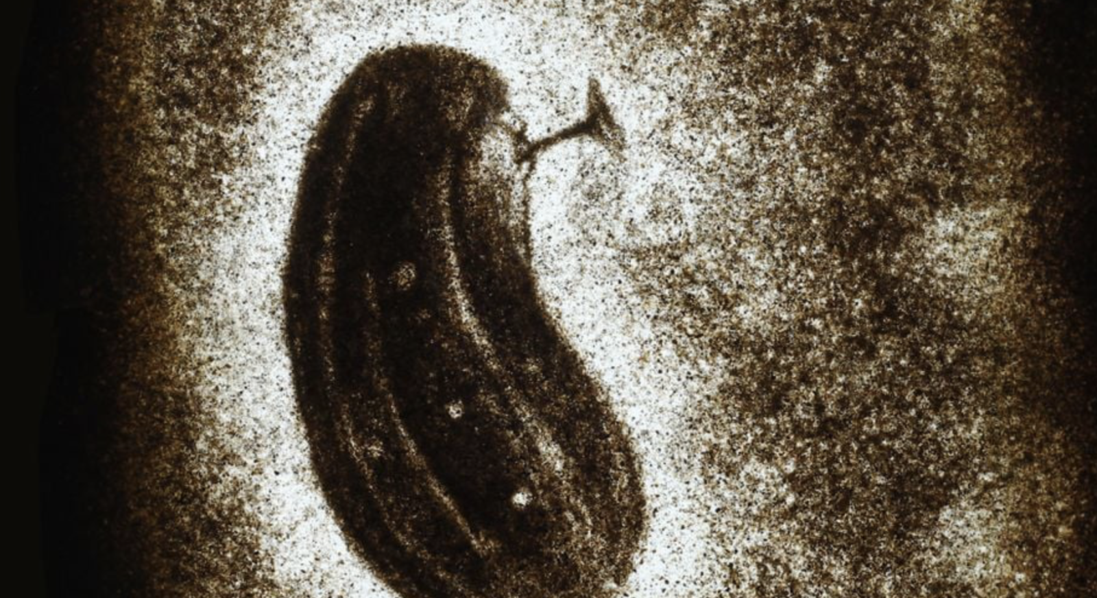 Gherking