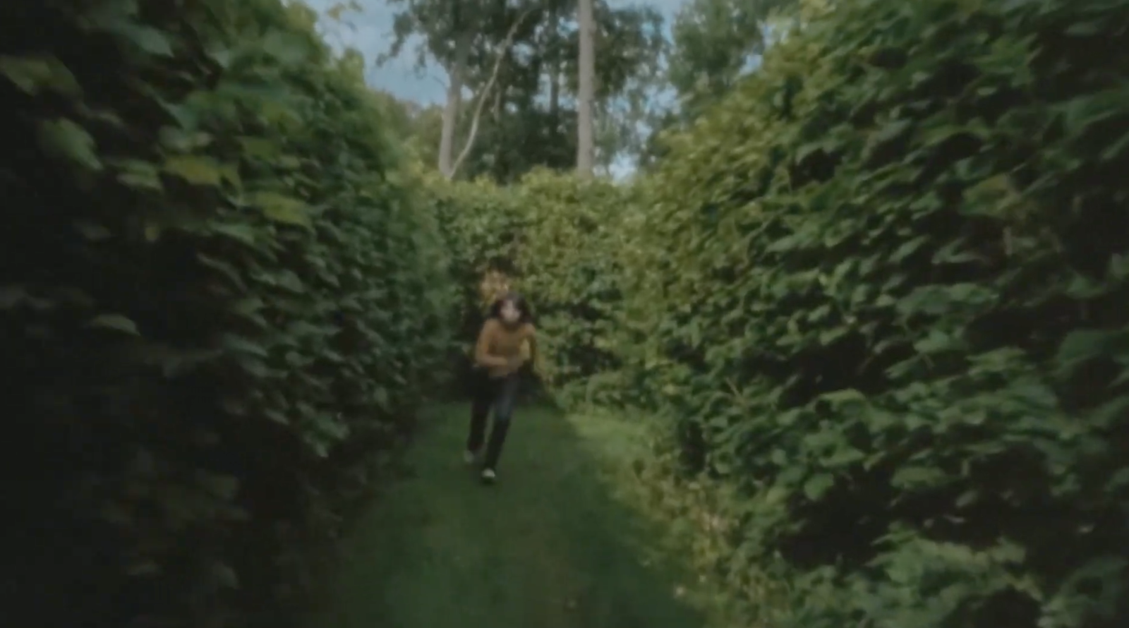 In and Out of the Hornbeam Maze