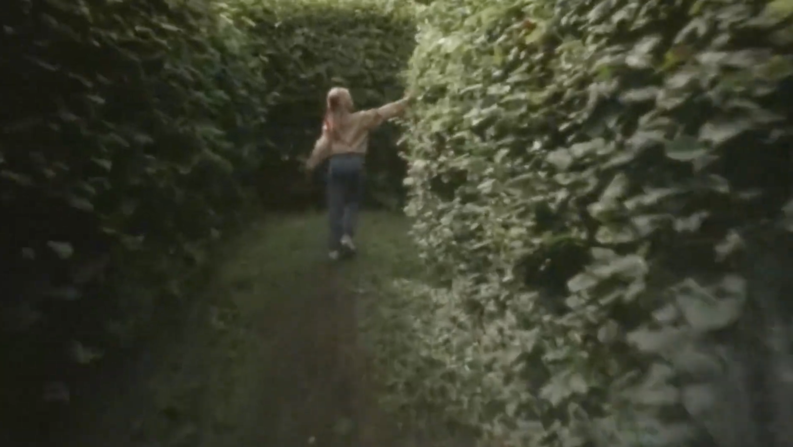 In and Out of the Hornbeam Maze
