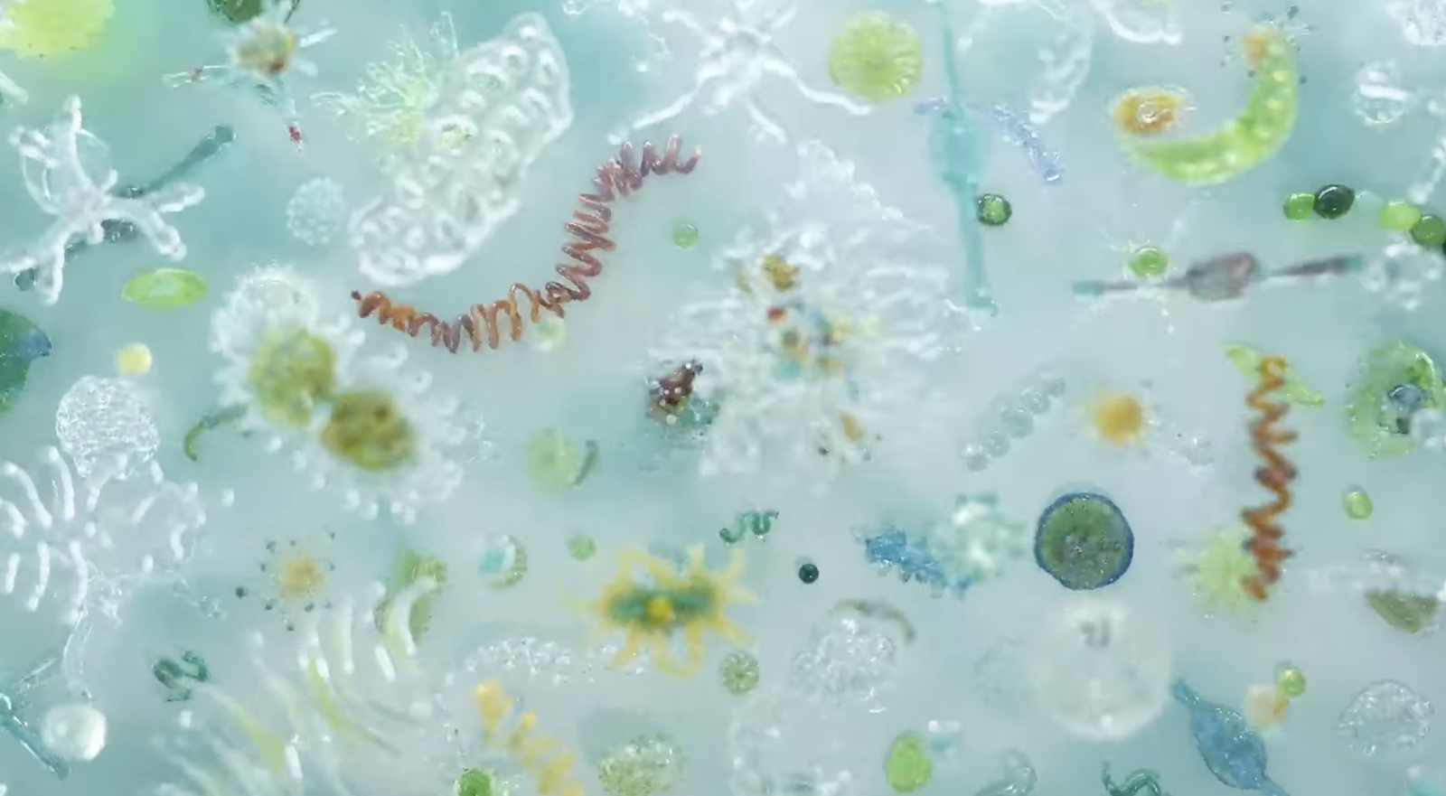 Water's Time Slice