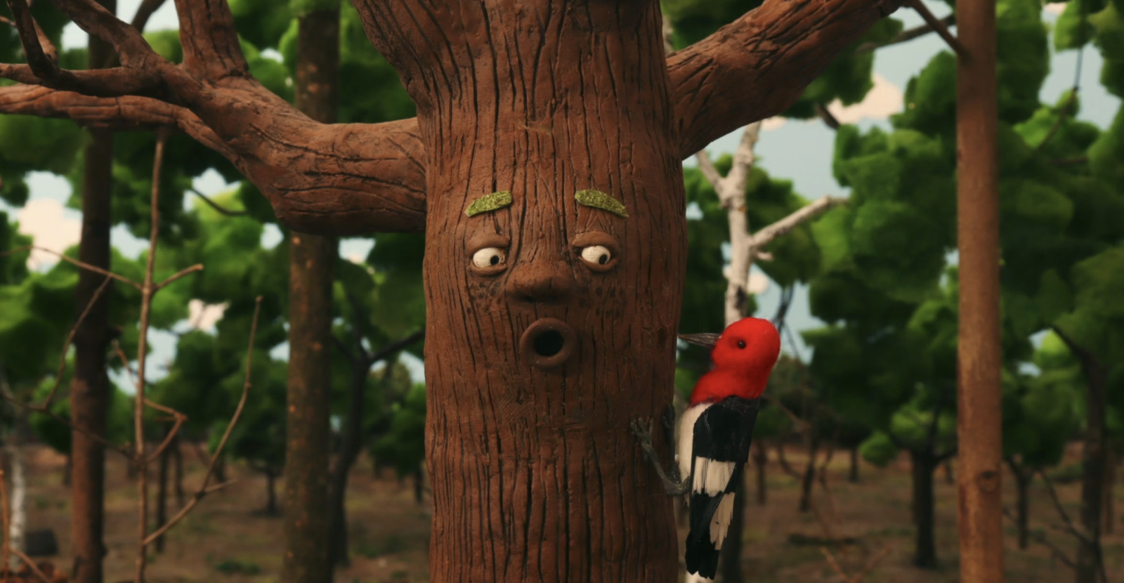 Sapling